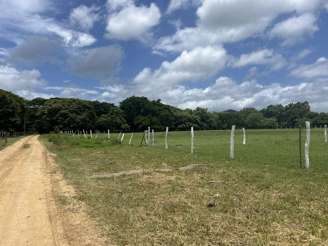 ¡OPORTUNIDAD DE INVERSIÓN EN EL JOBO, LA CRUZ, GUANACASTE! 