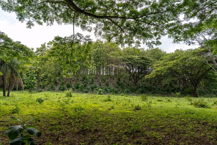 OPORTUNIDAD DE INVERSIÓN — La Cruz, Guanacaste | 44 acres con Eco Lodge