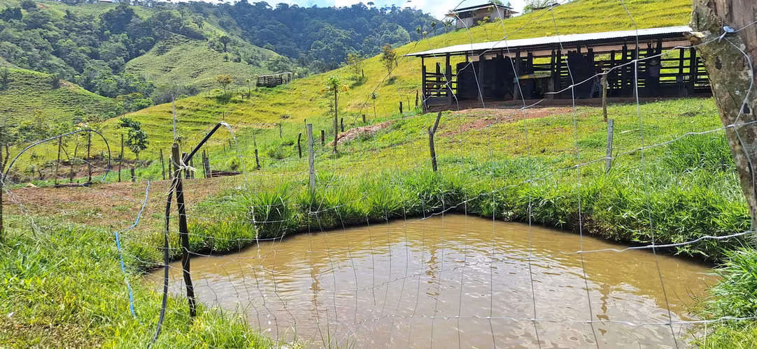Venta de Finca con lago, corral, invernadero y casa container