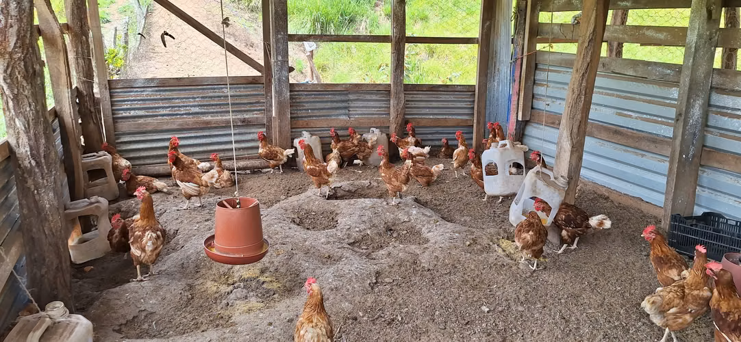 Venta de Finca con lago, corral, invernadero y casa container