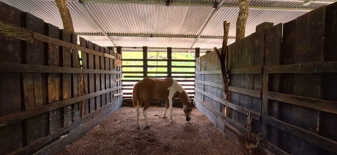 Venta de Finca con lago, corral, invernadero y casa container