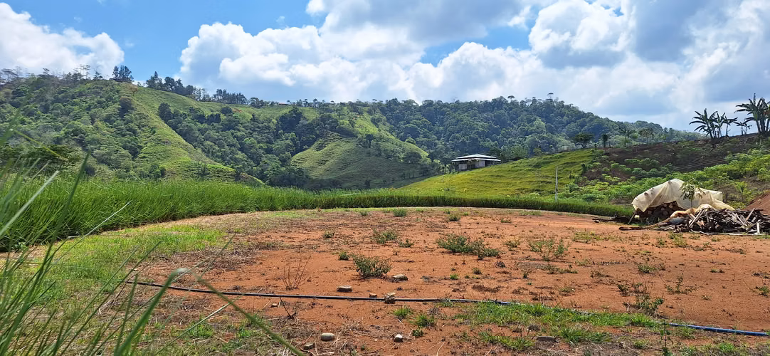 Venta de Finca con lago, corral, invernadero y casa container