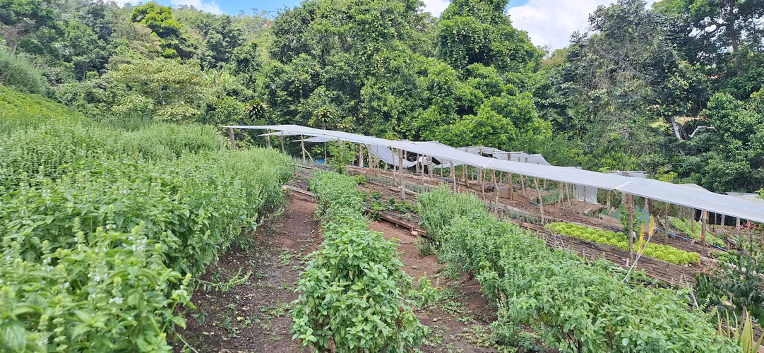 Venta de Finca con lago, corral, invernadero y casa container