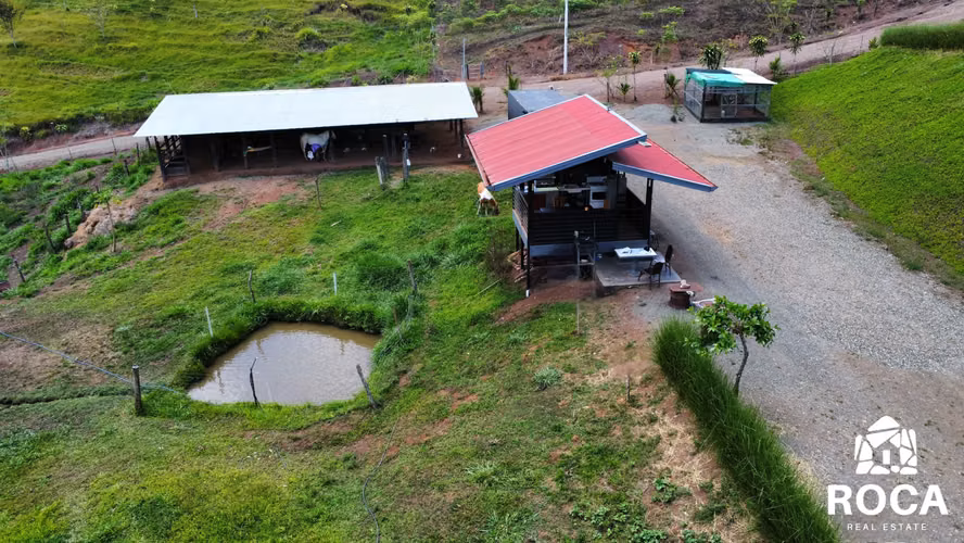 Venta de Finca con lago, corral, invernadero y casa container