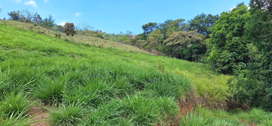 Venta de Finca con lago, corral, invernadero y casa container