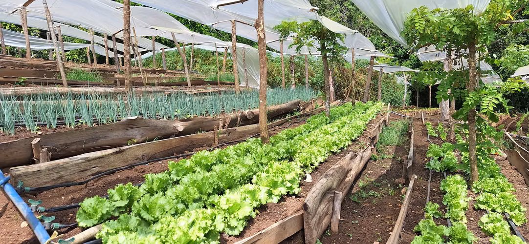 Venta de Finca con lago, corral, invernadero y casa container