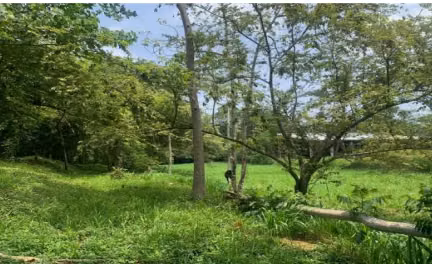 Terreno En Jacó, Garabito Puntarenas