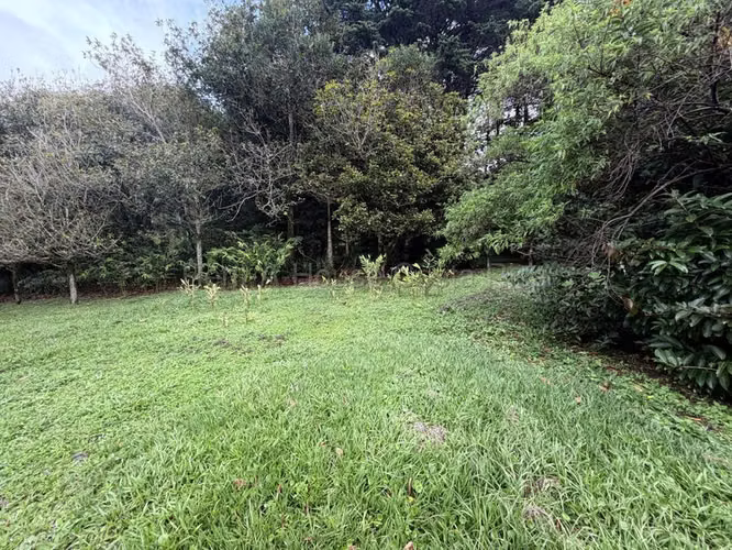 Venta de Lote en San Rafael-Ángeles de Heredia. - Imagen 15