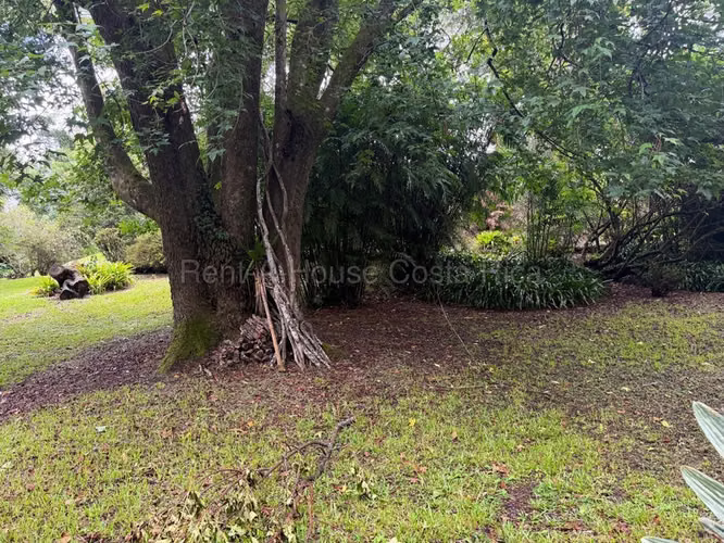 Venta de Lote en San Rafael-Ángeles de Heredia. - Imagen 5
