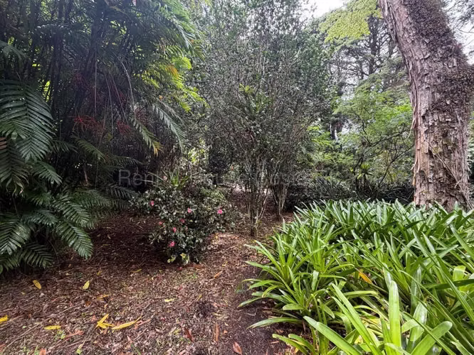 Venta de Lote en San Rafael-Ángeles de Heredia. - Imagen 3