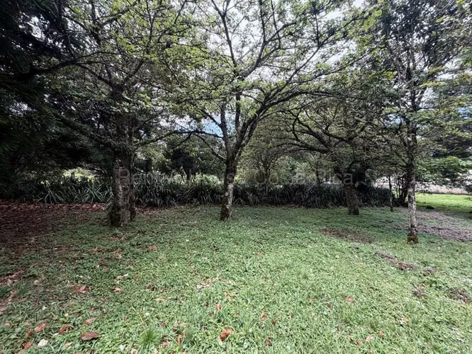 Venta de Lote en San Rafael-Ángeles de Heredia. - Imagen 12