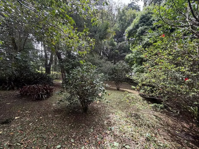 Venta de Lote en San Rafael-Ángeles de Heredia. - Imagen 4