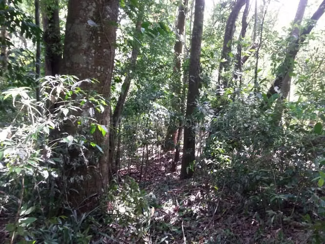 Venta de Lote en Desamparaditos de Puriscal. - Imagen 6