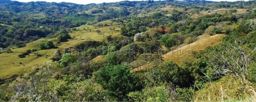 Venta de Lote en Desamparaditos de Puriscal. - Imagen 5