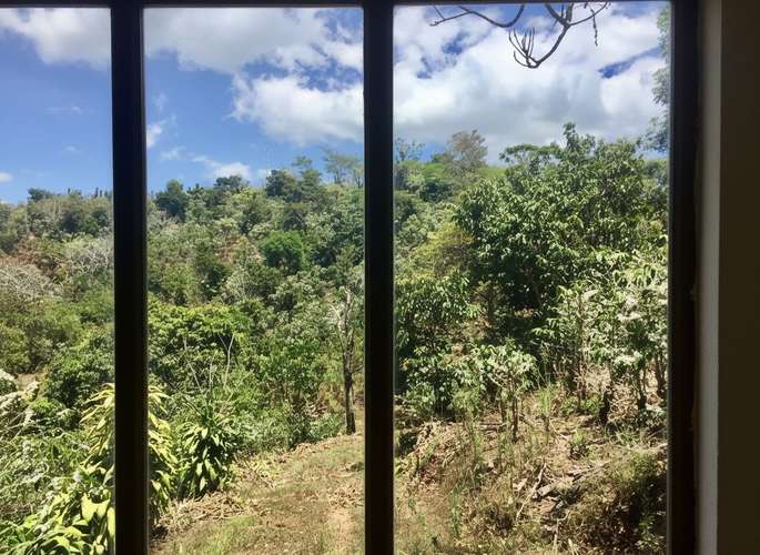 Venta finca San Ramón cafetalera 90 mill colones