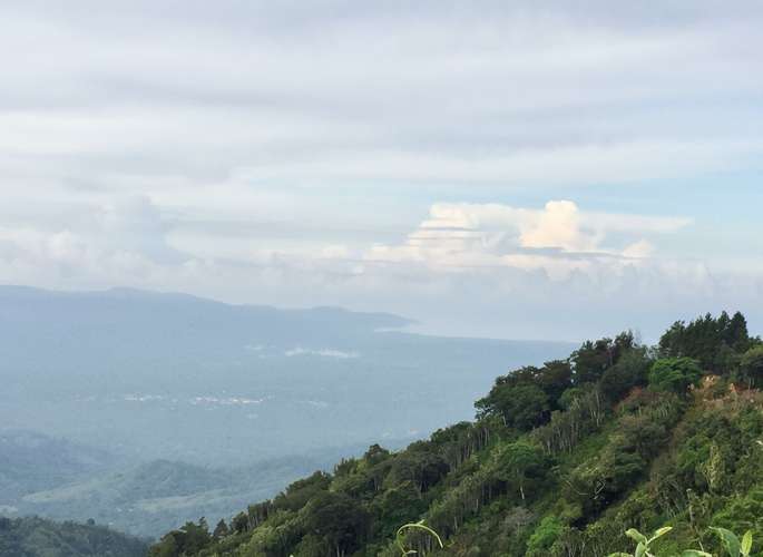 Venta finca San Ramón cafetalera 90 mill colones