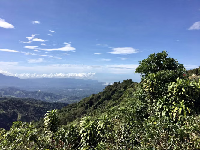 Venta finca San Ramón cafetalera 90 mill colones