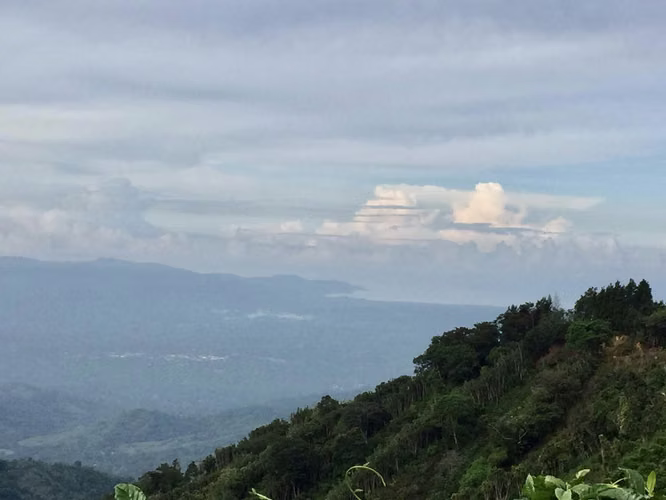 Venta finca San Ramón cafetalera 90 mill colones