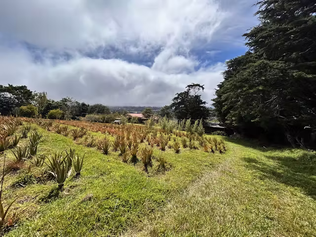 LOTE DE ESPECTACULAR LOTE EN SAN ISIDRO, HEREDIA