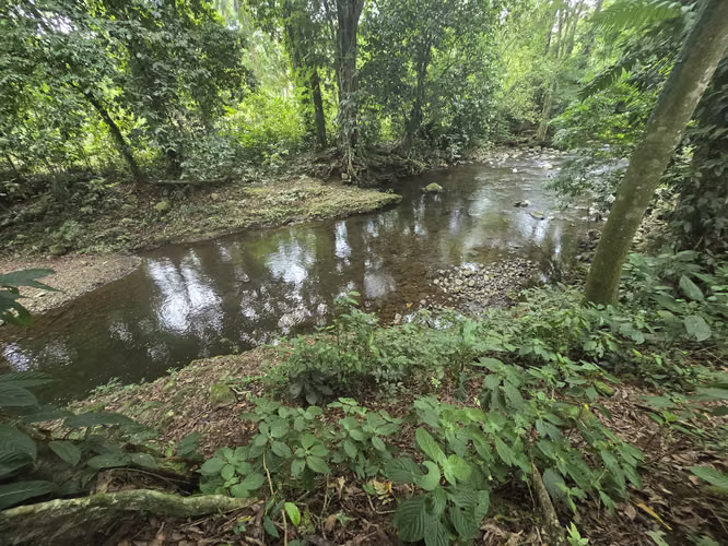 Hermosa Casa Quinta con Río, Amplio Terreno y Naturaleza en Jiménez