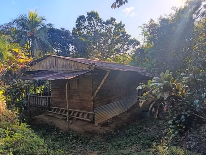 Venta de Finca de 17 Hectáreas en Guadalupe, Lepanto, Puntarenas