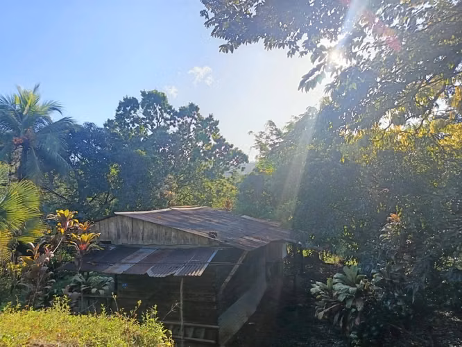 Venta de Finca de 17 Hectáreas en Guadalupe, Lepanto, Puntarenas
