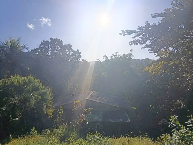 Venta de Finca de 17 Hectáreas en Guadalupe, Lepanto, Puntarenas