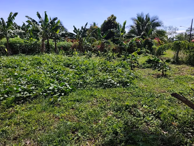 LOTE RESIDENCIAL LISTO PARA CONSTRUIR EN SAN ISIDRO DE PEÑAS BLANCAS, SAN RAMÓN