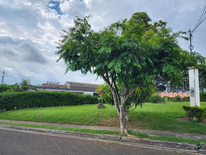 Excelente Lote en Venta | La Guácima | Ideal para Inversión o Vivienda