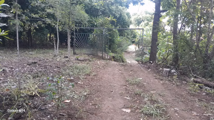Terreno de 10.000 m² con Cabaña, Bosque y Agua Propia en Guanacaste - Imagen 5