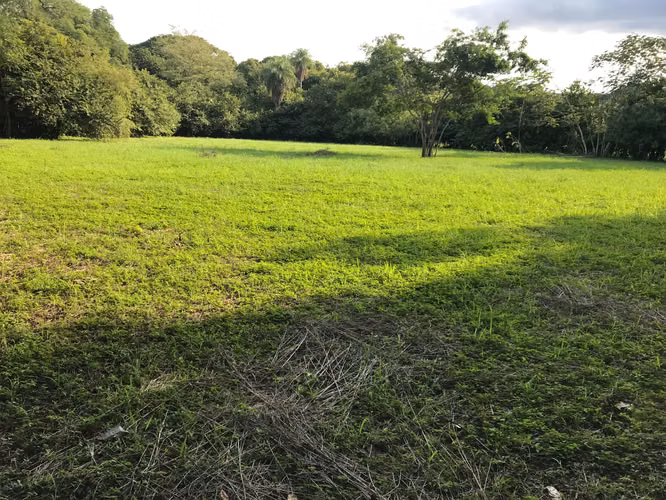 Terreno de 10.000 m² con Cabaña, Bosque y Agua Propia, Guanacaste - Imagen 18