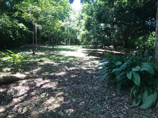 Terreno de 10.000 m² con Cabaña, Bosque y Agua Propia, Guanacaste - Imagen 11
