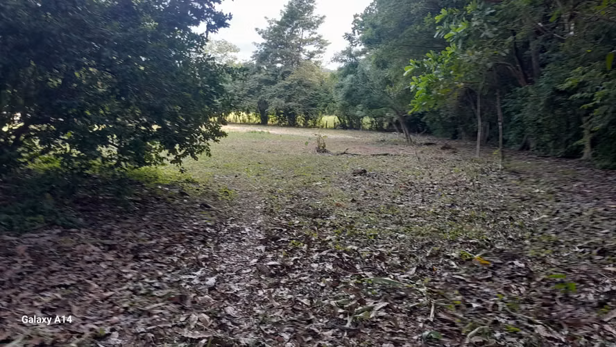 Terreno de 10.000 m² con Cabaña, Bosque y Agua Propia en Guanacaste - Imagen 6
