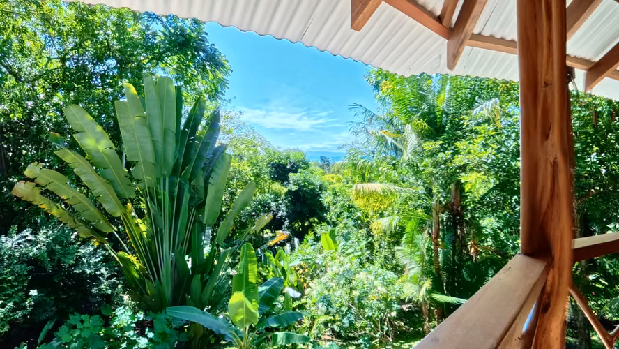 Casa Tropical de 3 Habitaciones en Alquiler | Mediano y Largo Plazo | Cerca de Pavones - Imagen 6