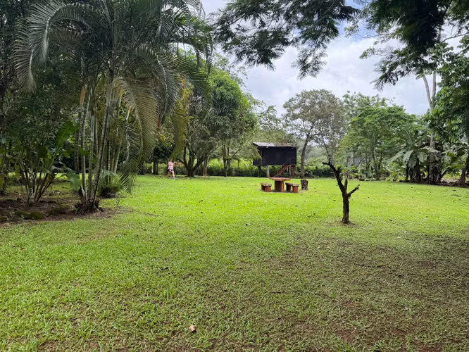 OPORTUNIDAD VENTA DE LOTE LA TIGRA SAN CARLOS - Imagen 9