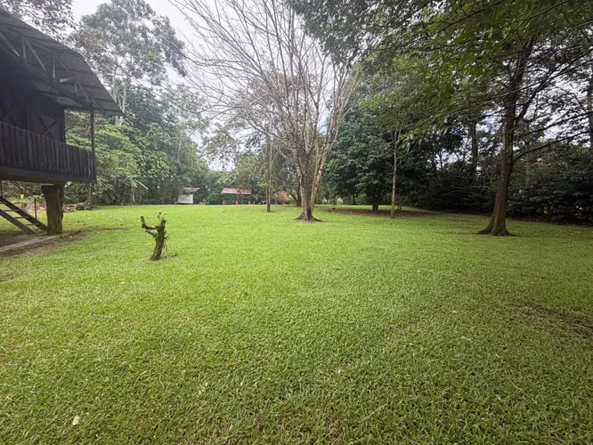 OPORTUNIDAD VENTA DE LOTE LA TIGRA SAN CARLOS - Imagen 2