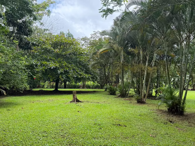 OPORTUNIDAD VENTA DE LOTE LA TIGRA SAN CARLOS - Imagen 3