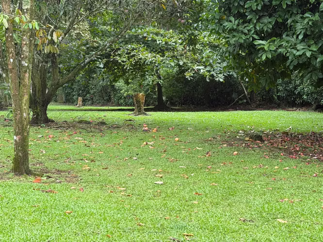 OPORTUNIDAD VENTA DE LOTE LA TIGRA SAN CARLOS - Imagen 10