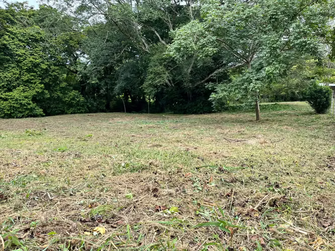 Lote en Venta | Cuatro Esquinas, Orotina - Imagen 10