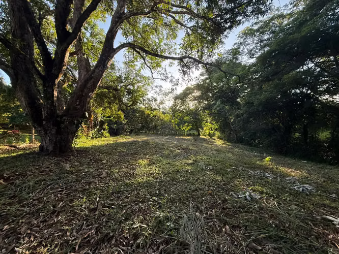 Lote en Venta | Cuatro Esquinas, Orotina - Imagen 4