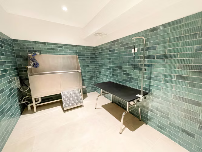 alquiler de Apartamento nuevo en Rohrmoser Nunciatura