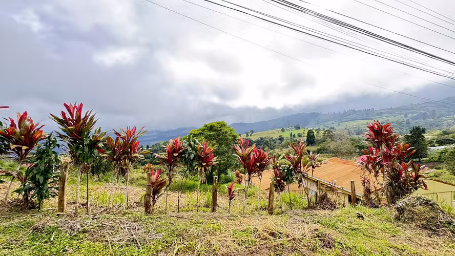 Lote en Santa Cruz de Turrialba | 800 m² | Potencial Residencial - Turístico - Imagen 3