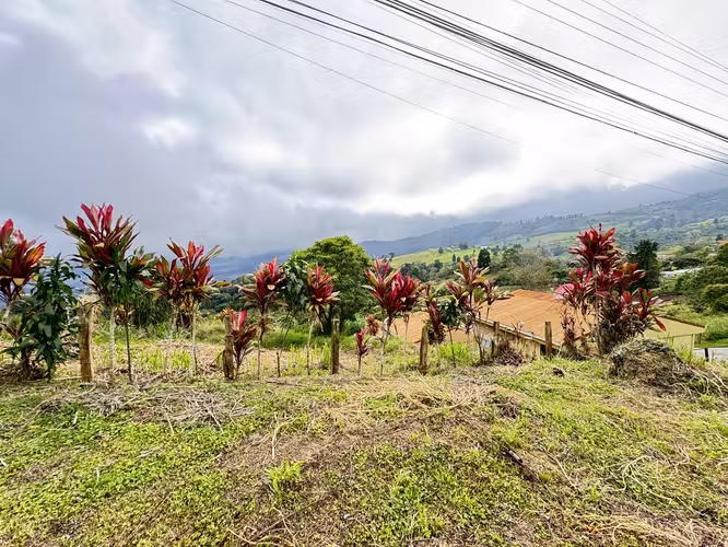 Lote en Santa Cruz de Turrialba | 800 m² | Potencial Residencial - Turístico - Imagen 9