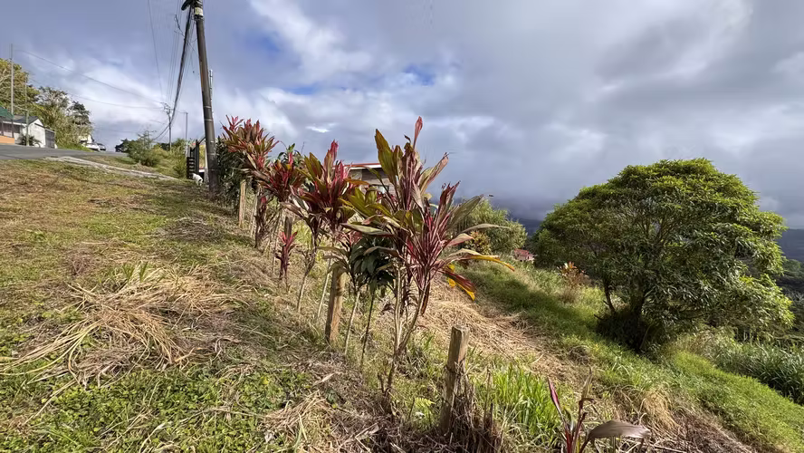 Lote en Santa Cruz de Turrialba | 800 m² | Potencial Residencial - Turístico - Imagen 4