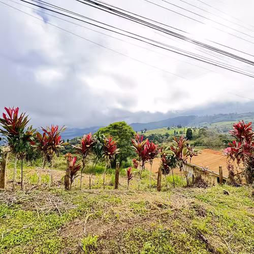 Lote en Santa Cruz de Turrialba | 800 m² | Potencial Residencial - Turístico - Imagen 19