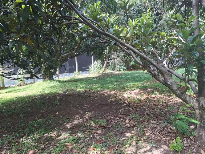 Lote comercial y mixto 3.021 m² Guachipelín