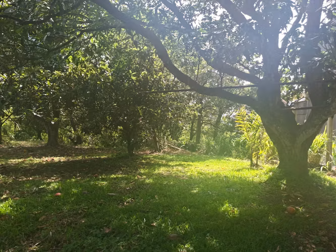 Lote comercial y mixto 3.021 m² Guachipelín