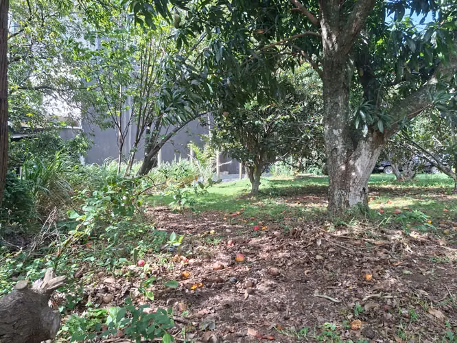 Lote comercial y mixto 3.021 m² Guachipelín