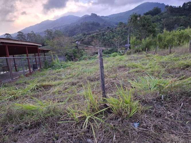 Venta de Lote PLANO en Dota-Santa María.  - Imagen 7