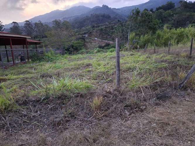 Venta de Lote PLANO en Dota-Santa María.  - Imagen 6